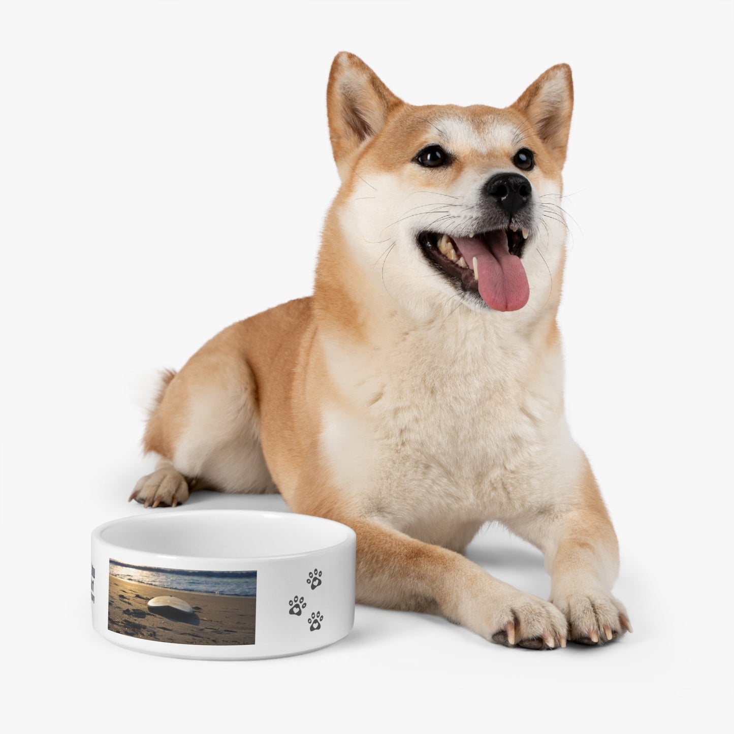 O'ahu Surf Company Ocean Surf Pet Food Bowl - O'ahu Surf Company